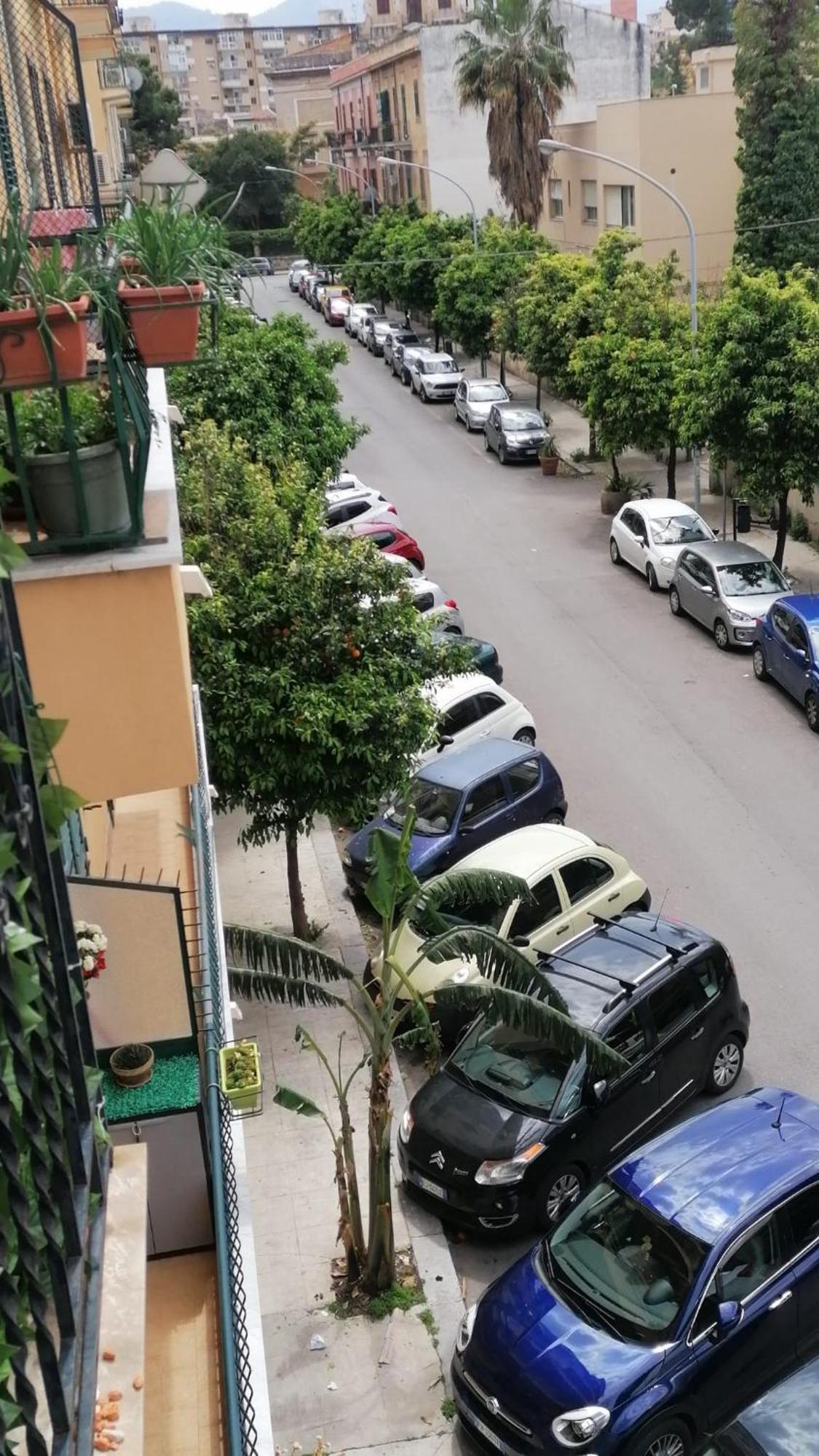 Biddizzi Apartment Palermo Exterior photo